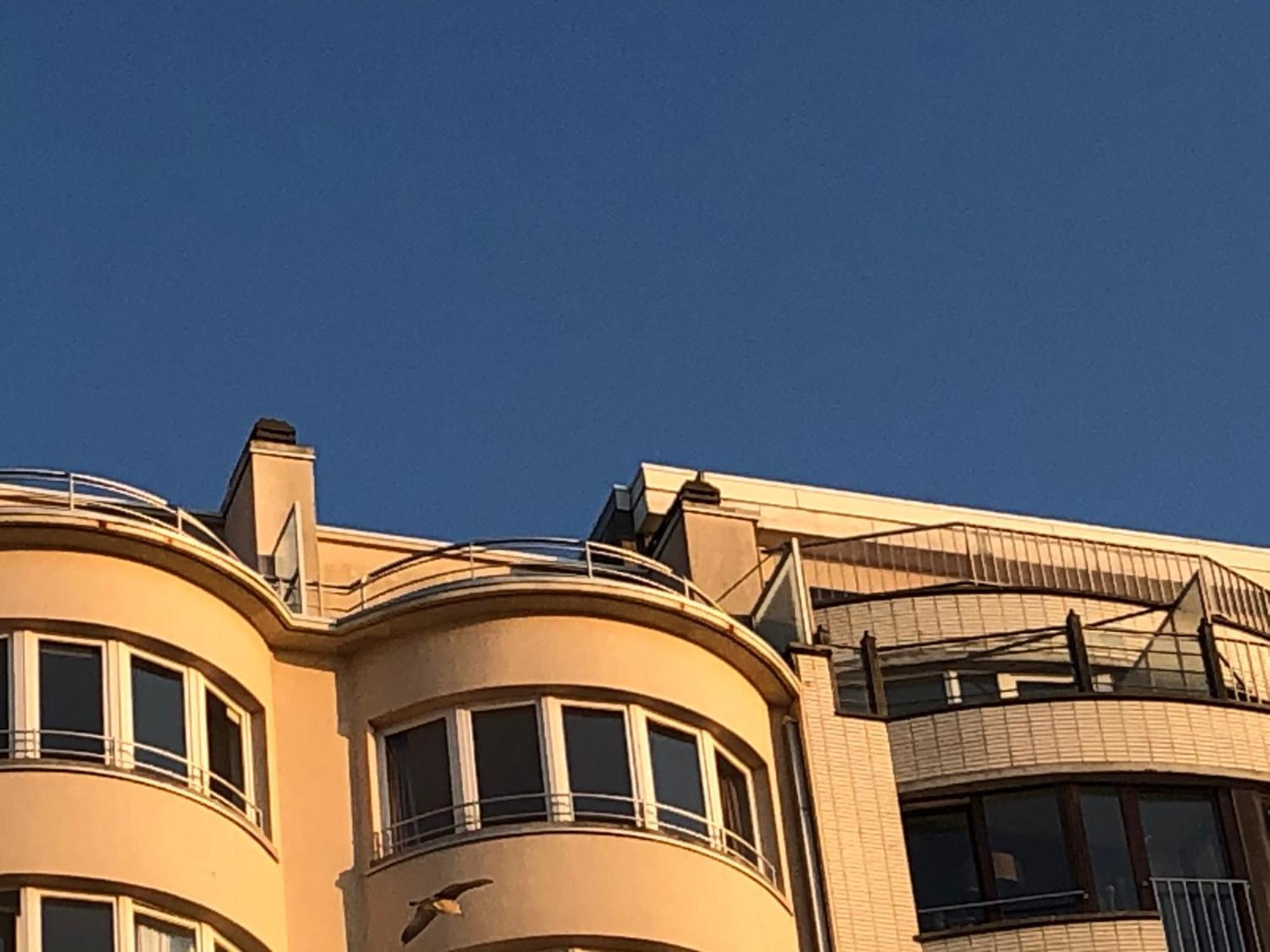 オステンドEl Mirador Penthouse Parisアパートメント エクステリア 写真